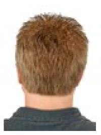 Wholesale Men’s Toupees – Short Straight, Easy to Wear
